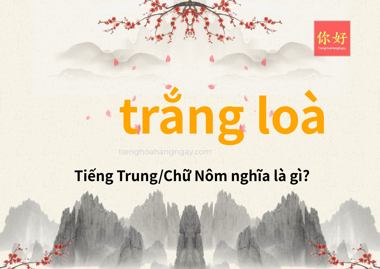 trắng loà tiếng Trung là gì?